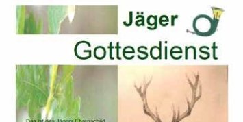 Bilder2025-06_11