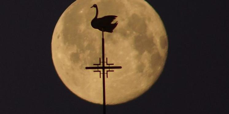 Schwanenkirche-IngeRink7