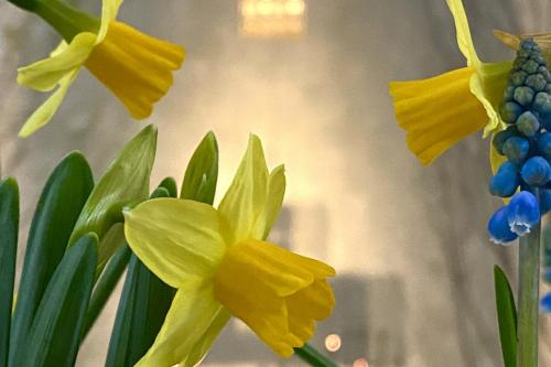 img_4955_by_Sylvio_Krueger_pfarrbriefservice