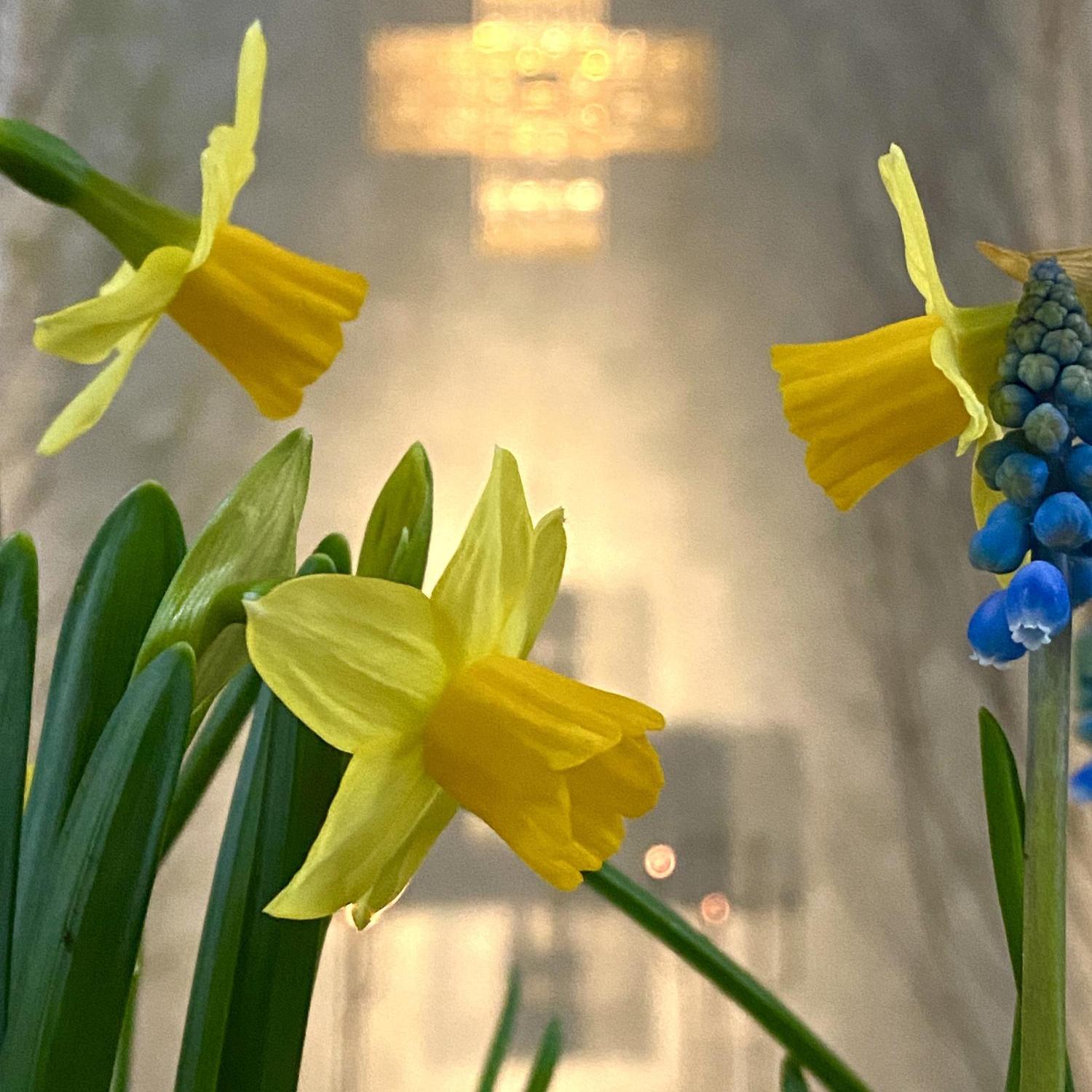 img_4955_by_Sylvio_Krueger_pfarrbriefservice